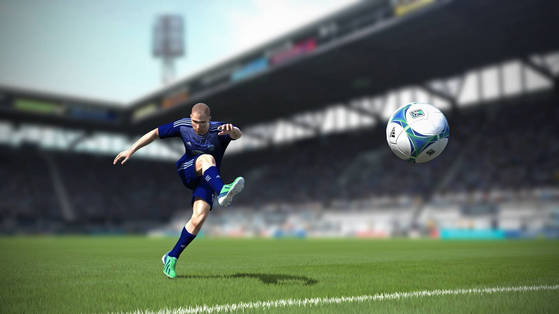 巴尔干雄鹰换羽时